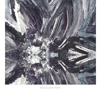 Flying Saucer Attack Instrumentals (Vinyl LP) 12" Album