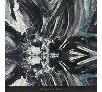 Flying Saucer Attack Instrumentals 2015 (Vinyl LP)