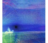 Flying Saucer Attack/Montgomery, Roy - Goodbye & Goodbye/Whole Day