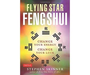 Flying Star Feng Shui by Stephen Skinner (2002-12-01)