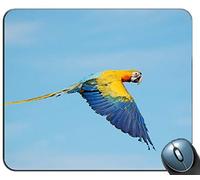 Flying True Macaws Mouse Pad rettangolo Personalizzato, Gomma Antiscivolo Stampata Tappetino Mouse Mouse Pad con Tastiera Personalizzata