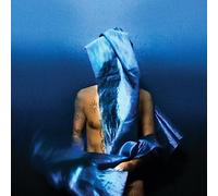 Devendra Banhart Flying Wig (Vinyl LP) 12" Album