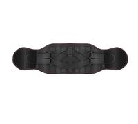 FLYIODFCXV Cintura, con Cuscinetto Lombare autoriscaldante for Donne e Uomini, Supporto Antiscivolo for ernia del Disco Sciatica(Black,L/Large)