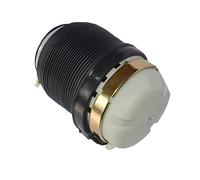 Flynsu 1x Molla pneumatica a sospensione pneumatica 4F0616001J Posteriore Sinistra Destra sostituzione per A6 S6 Avant Allroad C6 2004-2011 4F0 616 001 J