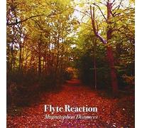 Flyte Reaction - Magnetophon Distances