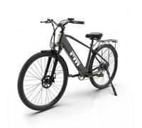 FM M1 E-Bike mit tiefem Einstieg, 36V 250W Motor & 36V 13Ah Akku 1 St