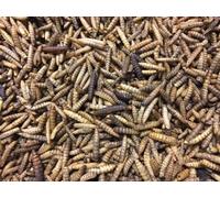 FMR Premium Secchi Calci Vermi Adatto A per Tutti Uccelli Pesce E Rettili 350g