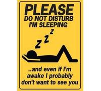 fmrsok Targa in metallo antica divertente con scritta in lingua inglese "Please Do Not Disturb I'm Sleep", decorazione vintage per garage, casa, giardino, bar, cucina, 20,3 x 30,5 cm