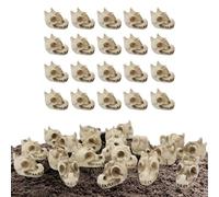 FmtwPhn Pietre Decorative per Vaso, Pietre Riempitive per Vasi, Ventidue Accessori Lucidati A di Teschio di Drago, Elementi Decorativi per Giardino E Paesaggistica, Interni Ed Esterni