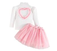 Fnaobai Gonne per bambina per bambine primavera autunno vestiti per bambini Love Heart manica lunga maglia a costine top in maglia a rete tutù set, Rosa, 18-24 mesi