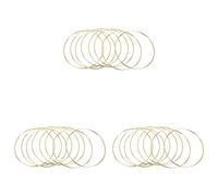 Fnfhsa 24Pcs 8 Pollici Anelli Dream Catcher Cerchi nel Metallo macramè per E Forniture Dream Catcher,