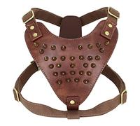 FNSK Pettorina for Cani con Borchie A Spillo, Gilet Regolabile in Pelle Resistente for Cani di Taglia Media Pitbull Bulldog Boxer Accessori