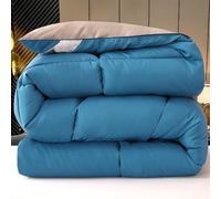 Fnyopki Piumino in Piuma d'oca, Trapunta Letto Matrimoniale per 4 Stagioni, Trapunta Leggera e Calda, Ultra Morbido e Traspirante Trapunta Invernale (Blue 200x230cm 3kg)