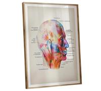 FNYUVNFAF Anatomy Wall Art: Watercolor Human Muscles Poster with Complete Labels, Ideal for Clinic Decor, Student Study or Massage Room Unframed,08x12inch(20x30cm)