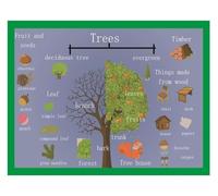 FNYUVNFAF Botany for Kids Poster, Parts of a Tree Diagram & Nature Learning Chart, Educational Wall Art for School & Home Framed,12x18inch(30x45cm)
