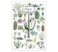 FNYUVNFAF Vintage Southwest Cactus and Desert Flora Poster, National Park Style Botanical Wall Art for Living Room, Office, Cabin Decor Unframed,16x24inch(40x60cm)
