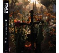 Foals Everything Not Saved Will Be Lost: Part 2 (Vinyl LP) 12" Album