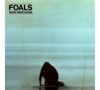 Foals What Went Down Deluxe Album with DVD