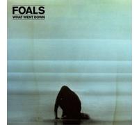 Foals What Went Down (Vinyl LP) 12" Album