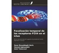 Focalización temporal de los receptores P2X4 en el ictus: De la neuroprotección aguda a la prevención de la depresión crónica