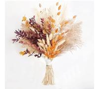 Focenat 64 Pezzi Erba Della Pampas Bouquet di Fiori Secchi Naturali Decorazione di Erba di Pampa Essiccata Composizione Fiori Secchi per Arredamento Soggiorno Casa Vaso Tavolo Matrimonio Boho Decor