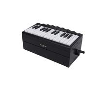 Focket Calendario per Pianoforte, 25 Tasti BT Riproducibili Elettronicamente per Pianoforte, Musica, Decorazioni per Feste Al, con Luci a LED, 52 Brani di Fama Mondiale (BLACK)