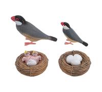 Focket Modello del Ciclo di Crescita degli Uccelli, 4 Pezzi del Ciclo di Crescita degli Animali Modello Biologico Stadio Vita Lifetti della Vita per Uccelli Set di Giocattoli Educativi per i Bambini