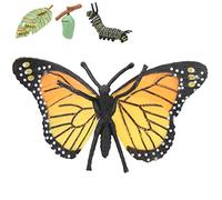 Fockety Giocattolo Educativo per Bambini con Ciclo di Crescita della Farfalla, Giocattolo Modello di Simulazione di Insetti per Lo Studio della Natura, Interazione Genitore-Figlio, Confezione da 4