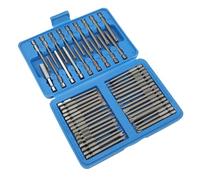 Fockety Punte per Cacciavite, Set di Punte di Sicurezza Extra Lunghe, Set Completo di per Cacciavite 50 Pezzi con Scotala Portatile Chiamo Includere di Varie Dimensioni, Tp Stella