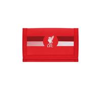 FOCO Ultra, Accessori da Viaggio-Portafoglio bi-Fold Unisex-Adulto, Rosso, 12 cm x 8 cm