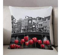 Fodera per Cuscino 50x50 in Quadrata,Ations in bianco e nero, foto monocromatica del canale di Amsterdam con case,Decorativo Fodere Cuscini Moderno per Divano Letto Sedia Camera da Letto Copricuscini