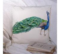 Fodera per cuscino Cuscino decorativo Federa Pavone Arcobaleno Dipinto Moda isolata su animali bianchi giapponesi Fauna selvatica Ritaglia grafica Custodia in poliestere blu per divano Divan