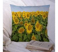 Fodera per cuscino Cuscino decorativo Federa Raccolto rurale Nuvola Fioritura Scena Piuttosto in fiore Grandi girasoli colorati Piante Parchi i Custodia in poliestere per divano Divano 18x18
