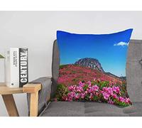 Fodera per cuscino da tiro Paesaggio primaverile Jijiji Hallasan Mountain Flower Sandstone Jijijiwatatsu Harmony Nature Textures Cozy Cushion Covers 18 x 18 pollici per letto auto Lving Room