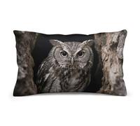 Fodera per cuscino lombare - Gufo all'ingresso della grotta, federa per cuscino in peluche stampata su entrambi i lati con cerniera nascosta, federa decorativa per cuscino da divano, camera da letto,