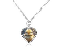 FodPand Collana commemorativa con urna di pulcino di pollo personalizzata per ceneri Collana per animali domestici con kit di riempimento Catena regolabile 70,1 cm Catena funeraria Cremazione Gioielli