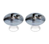 FodPand Confezione da 2 pomelli per armadietti da 2,8 cm, con foro singolo, maniglie decorative per cassetti, pomelli decorativi per mobili per comò, cucina, bagno, armadio, armadio, armadietto, porta