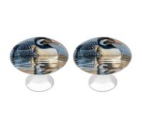 FodPand Confezione da 2 pomelli per armadietti da 2,8 cm, con foro singolo, maniglie decorative per cassetti, pomelli decorativi per mobili con uccelli della natura Loon per cassettiera, cucina, bagno