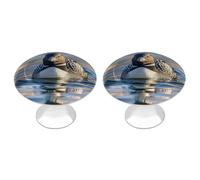 FodPand Confezione da 2 pomelli per armadietti da 2,8 cm, con foro singolo, maniglie decorative per cassetti, pomelli decorativi per mobili per comò, cucina, bagno, armadio, armadio, armadietto, porta