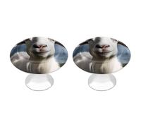 FodPand Confezione da 2 pomelli per armadietti da 2,8 cm, con foro singolo, maniglie decorative per mobili di capra, per comò, cucina, bagno, armadio, armadio, porta