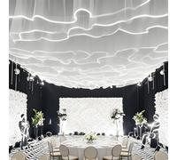 FOELANNE Il soffitto Luminoso drappeggia l'evento di Nozze Riutilizzabile Multicolor Dimensioni Multiple, Facile da installare(50mx0.6m,ChampagneVeil+WhiteLight)