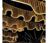 FOELANNE Tende da soffitto Luminose a LED, Multicolori, Varie Dimensioni(50mx0.5m,ChampagneVeil+WarmLight)