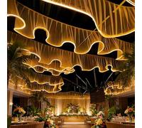 FOELANNE Tende Trasparenti con Strisce Luminose a LED, Multicolori, Dimensioni Multiple, Facili da installare for Tutte Le Stagioni(100mx0.6m,WhiteVeil+WarmLight)