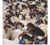 Foggy Dew - When I am There [Import]
