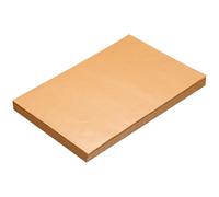 Fogli di carta pergamena da 200 pezzi, carta pergamena antiaderente non sbiancata, resistente alle alte temperature per forni, friggitrici ad, fogli per biscotti