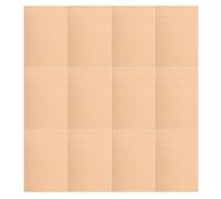Fogli di Pratica Braille 40 Pezzi, Carta per Apprendimento | 30x24cm, Leggeri e Portatili, Uso Quotidiano ed Educativo, Back To School Party