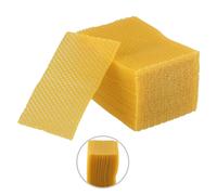 Fogli Fondotinta Cera d'Api Essential Apicoltura 30PCS Ottima Attrezzatura
