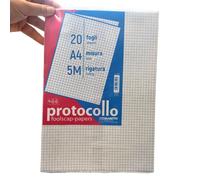Fogli protocollo 5mm 20ff