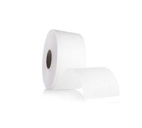 Fogli Termici per Meches in Rotolo Pretagliato da 30 cm in Carta Velina 50 mt. (E375)