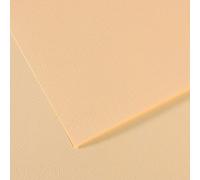 Foglia 55 x 75 (25) Canson Mi-Teintes 60% Ape 160 g (111)